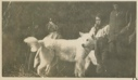 Image of Eskimo [Inuit] family with wolf-like dog